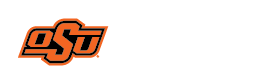 Secondary Library  Logo